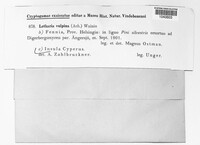 Image Associated With the Occurence